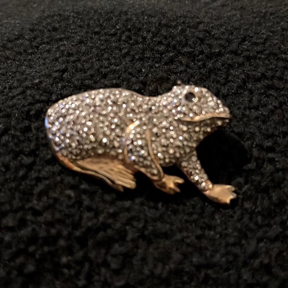 Frog/newt brooch silver and gold tone